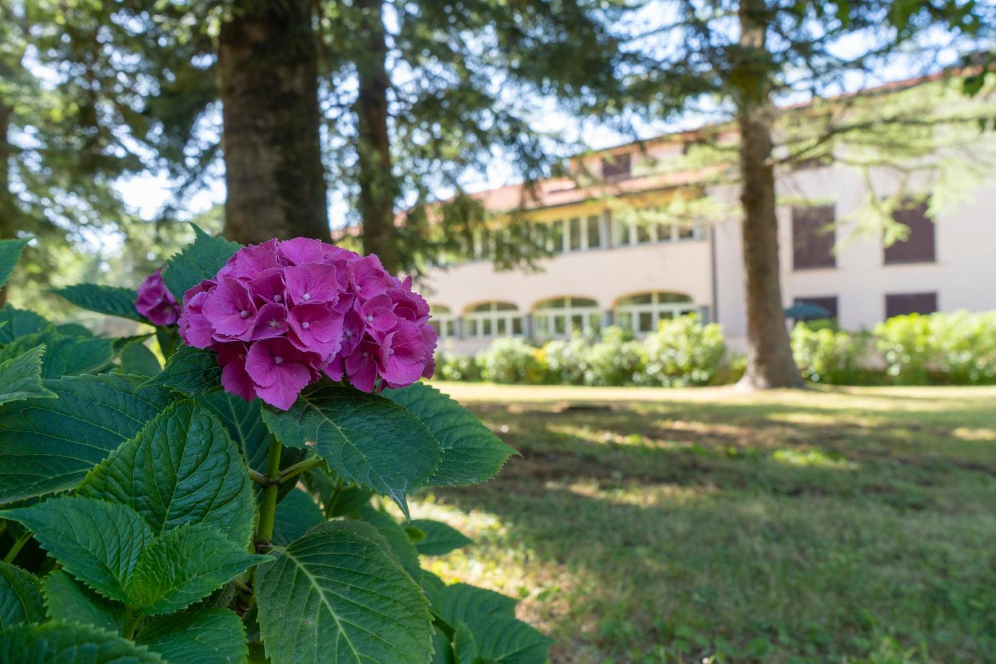 Toscana Wellness Resort 아르치도소 외부 사진